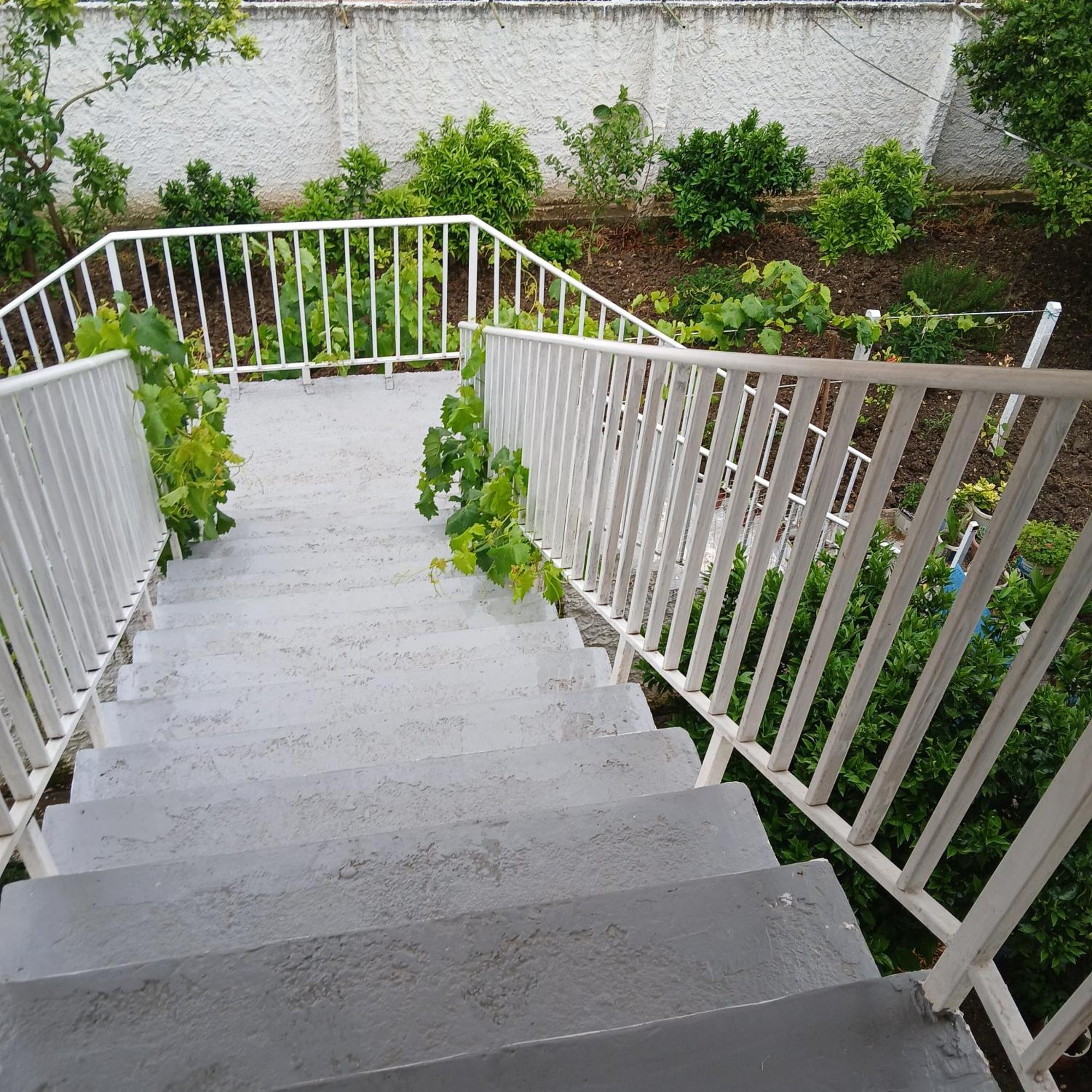 Villa Oasis Berat Kültér fotó